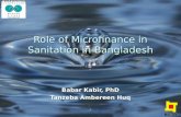 Role of Microfinance in Sanitation in Bangladesh Babar Kabir, PhD Tanzeba Ambereen Huq.