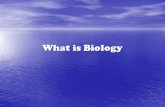 What is Biology. Bio = Bio =LIFE ology = ology = the study of the study of.