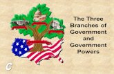 The Three Branches of Government and Government Powers