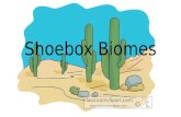 Page by page steps to the presentation Shoebox Biomes.
