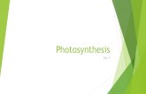 Photosynthesis Ch. 7.