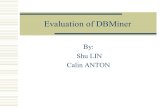 Evaluation of DBMiner By: Shu LIN Calin ANTON. Outline  Importing and managing data source  Data mining modules Summarizer Associator Classifier Predictor.