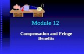 Module 12 Compensation and Fringe Benefits. Module Topics n Employer-Employee Motivations n Forms of Compensation n Property Transfers n Fringe Benefits.