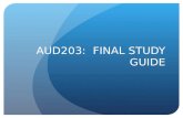 AUD203: FINAL STUDY GUIDE. HEADPHONES Remember Various Types How does noise-cancelling work.