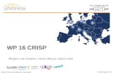 CRISP 2 nd annual meeting PSI; 18.03.2013 WP 16 CRISP M van Daalen, PSI 1 Mirjam van Daalen, Heinz Weyer, Björn Abt.