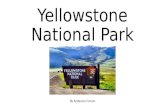Yellowstone National Park By Anderson Corum. Location & Info Welcome to Yellowstone National Park. In this park, you will find geysers, canyons, mountains,
