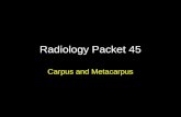 Radiology Packet 45 Carpus and Metacarpus.