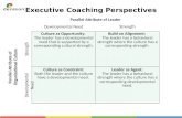 Executive Coaching Perspectives Parallel Attribute of Leader Developmental NeedStrength Culture as Opportunity: The leader has a developmental need that.
