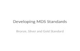 Developing MDS Standards Bronze, Silver and Gold Standard.