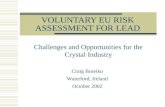 VOLUNTARY EU RISK ASSESSMENT FOR LEAD Challenges and Opportunities for the Crystal Industry Craig Boreiko Waterford, Ireland October 2002.