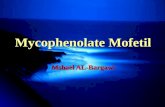 Mycophenolate Mofetil Mshael AL-Bargawi