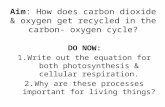 Aim: How does carbon dioxide & oxygen get recycled in the carbon- oxygen cycle? DO NOW: Write out the equation for both photosynthesis & cellular respiration.