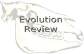 Evolution Review. Who proposed inheritance of acquired characteristics?