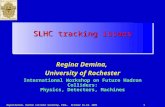 Regina Demina, Hadron collider workshop, FNAL, October 16-18, 20031 SLHC tracking issues Regina Demina, University of Rochester International Workshop.