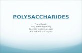 POLYSACCHARIDES From Greek: Poly meaning many Sacchar meaning sugar