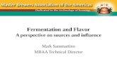 Fermentation and Flavor A perspective on sources and influence