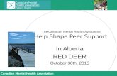 The Canadian Mental Health Association Help Shape Peer Support