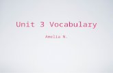 Unit 3 Vocabulary Amelia N.. Algebraic Expression An expression that contains a variable. Examples: 10/p=2 p+11=20.
