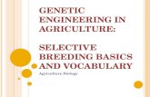 G ENETIC E NGINEERING IN A GRICULTURE : S ELECTIVE B REEDING B ASICS AND V OCABULARY Agriculture Biology.