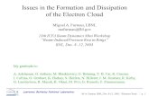 M. A. Furman, BNL, Dec. 8-12, 2003, “Electron Cloud...” p. 1 Issues in the Formation and Dissipation of the Electron Cloud Miguel A. Furman, LBNL