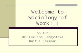 1 Welcome to Sociology of Work!!! SS 430 Dr. Evelina Panayotova Unit 1 Seminar.
