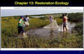 1 Chapter 13: Restoration Ecology. 2 Outline Helping Nature Heal  Ecological restoration Nature is Resilient Restoring Forests Restoring Prairies Restoring.