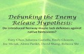 Debunking the Enemy Release Hypothesis: Do introduced Norway maple lack defenses against native herbivores? Tony Chen, Julianna Garreffa, Emily Gleason,