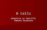 Adaptive or Specific Immune Response