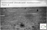 Grassland-shrubland transitions: Part 2. Lateral flux of water, sediment, nutrients Percolation Schlesinger et al. (1990) “islands of fertility” or “Jornada”