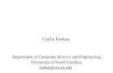Csilla Farkas Department of Computer Science and Engineering University of South Carolina