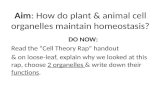 Aim: How do plant & animal cell organelles maintain homeostasis?