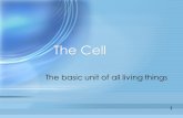 The Cell The basic unit of all living things 1. Cell Organization Levels /Units.