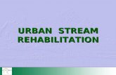 URBAN STREAM REHABILITATION. The URBEM Framework.