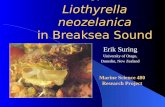 Population genetics of Liothyrella neozelanica in Breaksea Sound Erik Suring University of Otago, Dunedin, New Zealand Marine Science 480 Research Project.