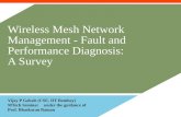 Wireless Mesh Network Management - Fault and Performance Diagnosis: A Survey Vijay P Gabale (CSE, IIT Bombay) MTech Seminarunder the guidance of Prof.