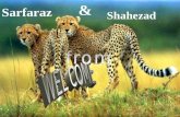 Sarfaraz & Shahezad. Presentation on Mass customization Prepared by: Sarfaraz shaikh & Shahezad Ahemed.