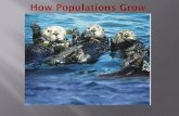 Characteristics of Populations Three important characteristics of a population are its:  geographic distribution  population density  growth rate.