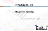 Problem 14 Magnetic Spring Reporter: Hsieh, Tsung-Lin.