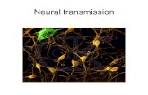Neural transmission. Beauty in the nervous system?