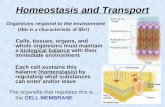 Homeostasis and Transport Organisms respond to the environment (this is a characteristic of life!) Cells, tissues, organs, and whole organisms must maintain.
