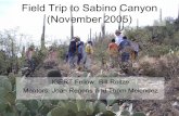 Field Trip to Sabino Canyon (November 2005) IGERT Fellow: Bill Reitze Mentors: Joan Regens and Thom Melendez.
