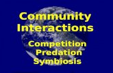 Community Interactions Competition Predation Symbiosis.