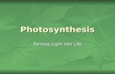 Photosynthesis Turning Light into Life. What is Photosynthesis? Autotrophs convert Sunlight  Sunlight  to Chemical Energy.