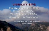 VISIBILITY SIPS The Regional Haze Rule Requirements for Fire The Role of the RPOs Opportunities for Participation US FISH AND WILDLIFE SERVICE Dennis Haddow.