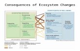 Consequences of Ecosystem Changes. How and what to Control?? Analysis Framework III – Causality Loop Economic Development with Due Care of the Environment.
