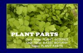Core Area: PLANT SCIENCE Unit Title: BASIC BOTANY Topic: PLANT PARTS PLANT PARTS