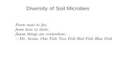 Diversity of Soil Microbes. Approaches for Assessing Diversity Microbial community Organism isolation Culture Nucleic acid extraction Molecular characterization.