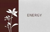 ENERGY. The Nature of Energy What is Energy? Energy is the ability to cause change Energy can change the temperature, shape, speed or direction of an.