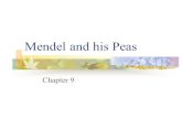 Mendel and his Peas Chapter 9. State Objectives CLE 3210.4.5 Recognize how meiosis and sexual reproduction contribute to genetic variation in a population.