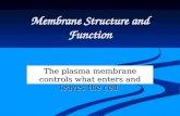 Membrane Structure and Function The plasma membrane controls what enters and leaves the cell.